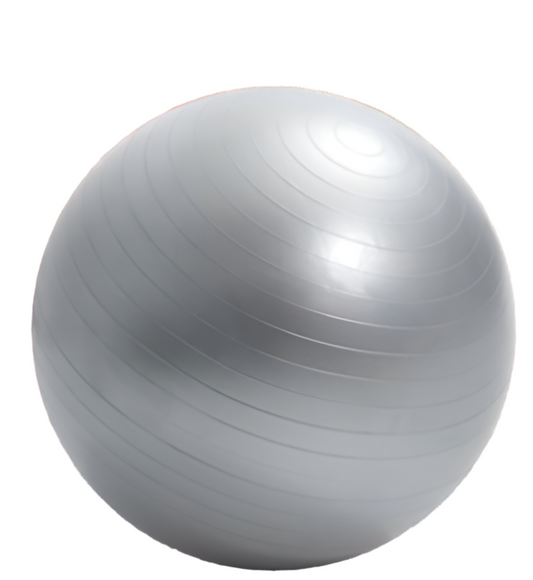 65cm PVC Yoga Ball(with pump) - Grey